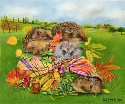 Hedgehogs Inside Scarf, 2000 (acrílico sobre tela) de E.B. Watts