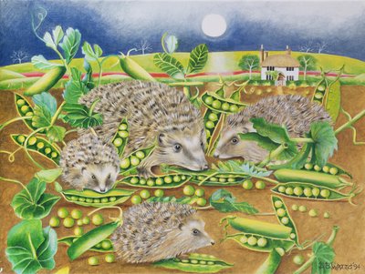 Ouriços com ervilhas ao lado de um campo de papoula à noite, 1994 (acrílico) de E.B. Watts