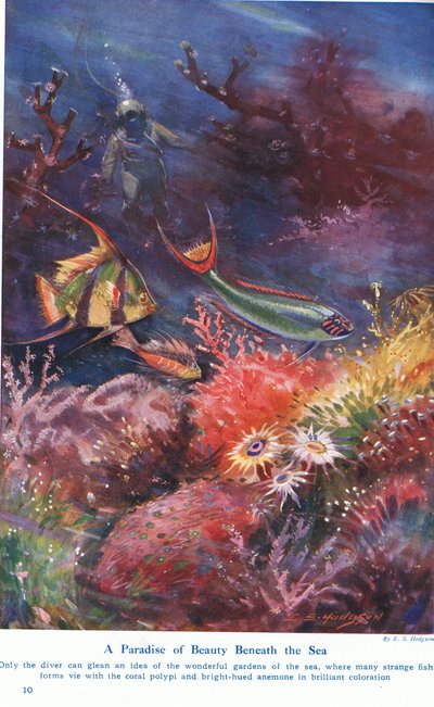 Um paraíso de beleza sob o mar, ilustração de &39;Maravilhas da terra e do mar&39;, publicado por Cassell, Londres, 1914 de E.S. Hodgson