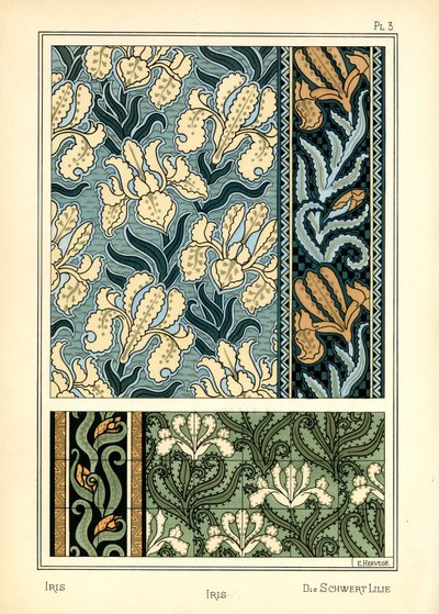 The Iris de E. Hervegh