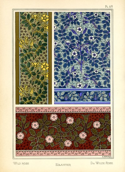 A rosa selvagem de E. Hervegh