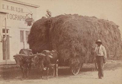 Impressão albúmen de um homem com uma carroça de feno cheia, 1894-1904. de E. K. Blush