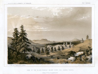The Black Forest Mount Hope e Sierra Prieta, EUA, 1856. de E Stout