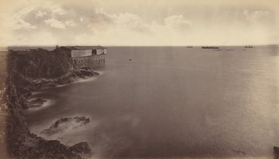 Acajutla, 1877. de Eadweard Muybridge