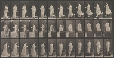 Locomoção Animal. Uma Investigação Eletro-Fotográfica... de Movimentos de Animais. Começo..., década de 1880. de Eadweard Muybridge