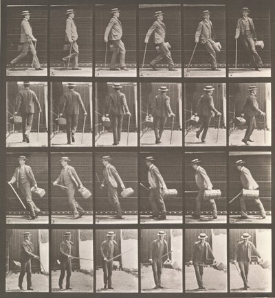 Floresta. de Eadweard Muybridge