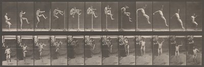 Locomoção Animal. Uma Investigação Eletrofotográfica de Fases Consecutivas de Animais..., década de 1880. de Eadweard Muybridge