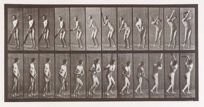 Floresta. de Eadweard Muybridge
