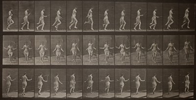 Locomoção Animal, Placa 174, 1887. de Eadweard Muybridge