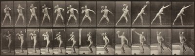 Locomoção Animal, Placa 319, 1887. de Eadweard Muybridge
