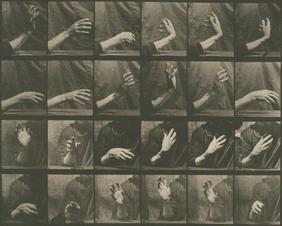 Floresta. de Eadweard Muybridge