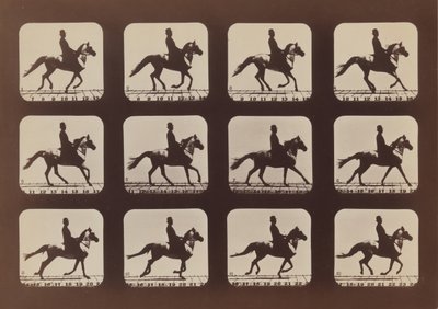 Atitudes of Animals in Motion, 1879, impresso em 1881. de Eadweard Muybridge