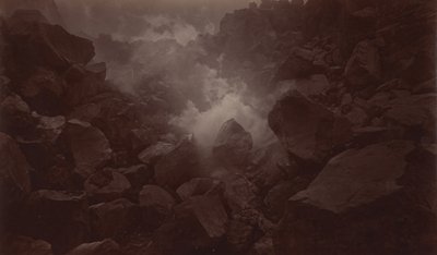Floresta. de Eadweard Muybridge