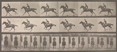 [Cavalo e cavaleiro galopando], 1883-86, impresso em 1887. de Eadweard Muybridge