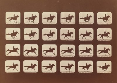 Floresta. de Eadweard Muybridge