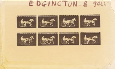 Internegativo para Cavalos. Trote. Abe Edgington. Nº 28, 1878. de Eadweard Muybridge
