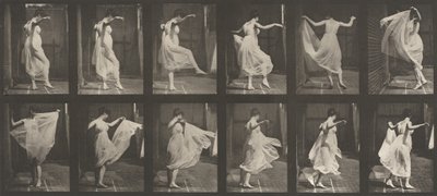 Floresta. de Eadweard Muybridge