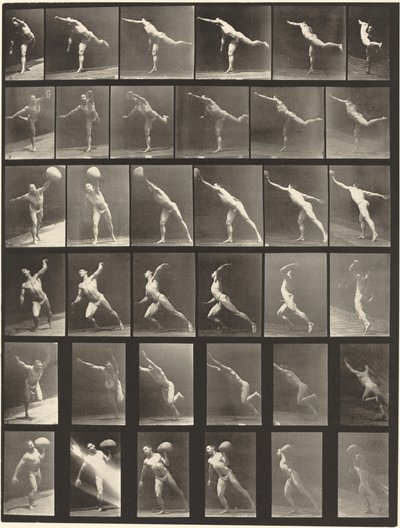 Placa número 523. A: Desferindo um golpe. B, E: Disco de arremesso. C, F: Levantando um 75-lb. Pedra..., 1887. de Eadweard Muybridge