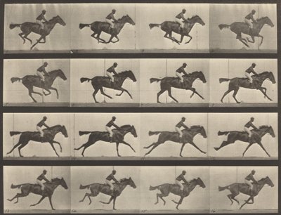 Placa número 626. Gallop, égua baia puro-sangue, Annie G., 1887. de Eadweard Muybridge