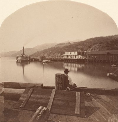 Sausalito do N.P.C.R.R. Wharf, Olhando para o Sul, c. 1868. de Eadweard Muybridge