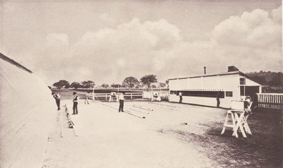 Floresta. de Eadweard Muybridge