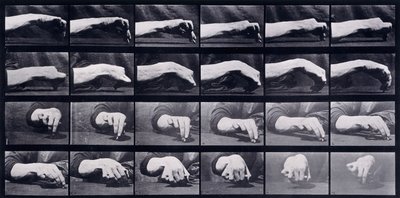 Um Estudo de Movimento de uma Mão, c.1872-1885 de Eadweard Muybridge