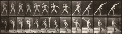 Locomoção animal (placa 319) (Homem a atirar uma bola) de Eadweard Muybridge