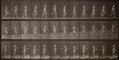 Locomoção animal, placa 174 de Eadweard Muybridge