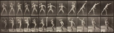 Locomoção de Animais, Placa 319, 1887 de Eadweard Muybridge