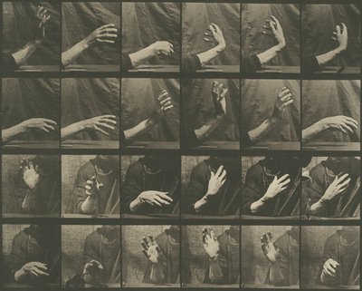 Locomoção animal, placa 535 de Eadweard Muybridge