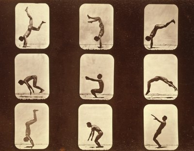 Atletas. Flip flap série 
