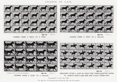 Eadweard Muybridge: Mudança de marcha (foto a p/b) de Eadweard Muybridge