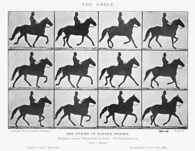 Eadweard Muybridge: O Âmbar (foto a p/b) de Eadweard Muybridge