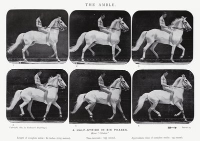 Eadweard Muybridge: The Amble de Eadweard Muybridge