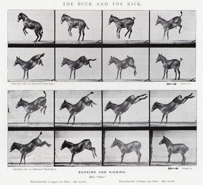Eadweard Muybridge: The Buck and the Kick (foto a p/b) de Eadweard Muybridge