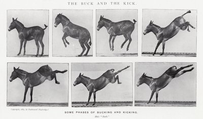 Eadweard Muybridge: The Buck and the Kick (foto a p/b) de Eadweard Muybridge