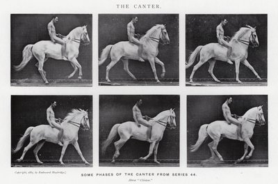 Eadweard Muybridge: O Canter (foto a p/b) de Eadweard Muybridge