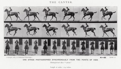 Eadweard Muybridge: O Canter (foto a p/b) de Eadweard Muybridge