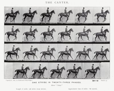 Eadweard Muybridge: The Canter de Eadweard Muybridge