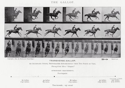 Eadweard Muybridge: O Galope (foto a p/b) de Eadweard Muybridge
