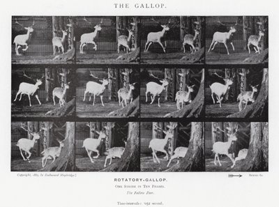 Eadweard Muybridge: O Galope (foto a p/b) de Eadweard Muybridge