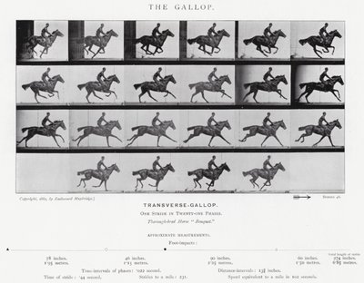 Eadweard Muybridge: O Galope (foto a p/b) de Eadweard Muybridge