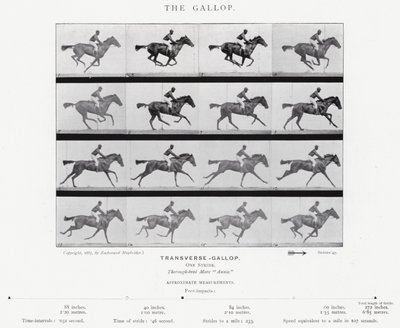 Eadweard Muybridge: O Galope (foto a p/b) de Eadweard Muybridge