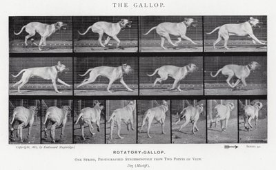 Eadweard Muybridge: O Galope (foto a p/b) de Eadweard Muybridge