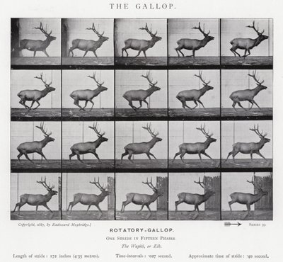 Eadweard Muybridge: O Galope (foto a p/b) de Eadweard Muybridge