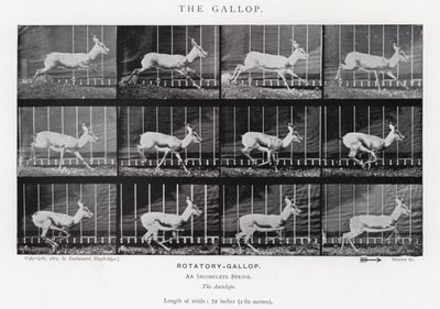 Eadweard Muybridge: O Galope (foto a p/b) de Eadweard Muybridge