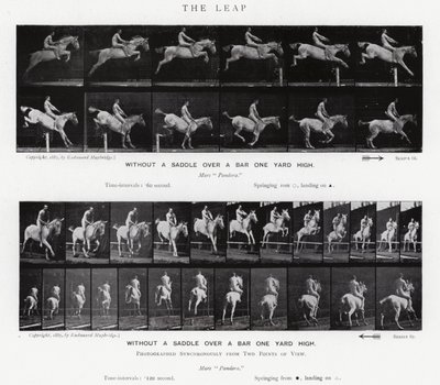 Eadweard Muybridge: O Salto (foto a p/b) de Eadweard Muybridge