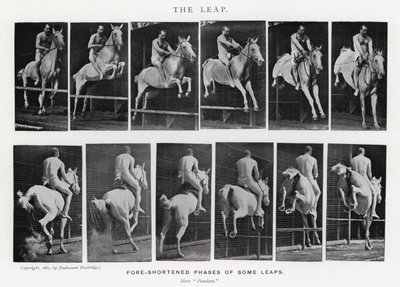 Eadweard Muybridge: O Salto (foto a p/b) de Eadweard Muybridge