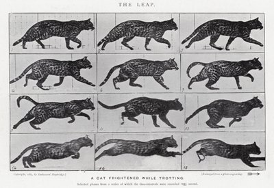 Eadweard Muybridge: O Salto (foto a p/b) de Eadweard Muybridge