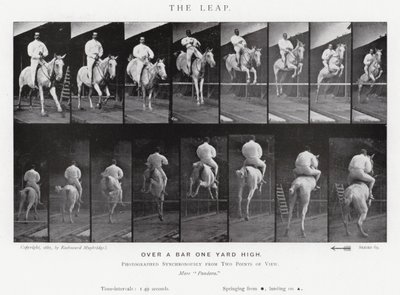 Eadweard Muybridge: O Salto (foto a p/b) de Eadweard Muybridge